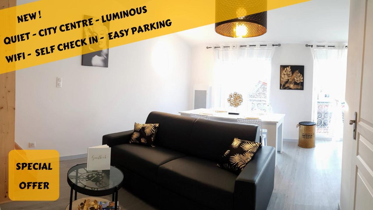 Les Nuits D'Anis - Appartements Hypercentre Le Puy-en-Velay Luaran gambar