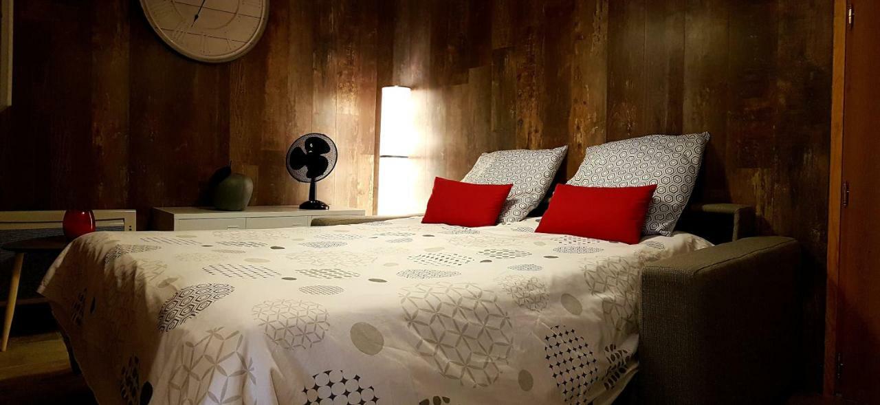 Les Nuits D'Anis - Appartements Hypercentre Le Puy-en-Velay Luaran gambar